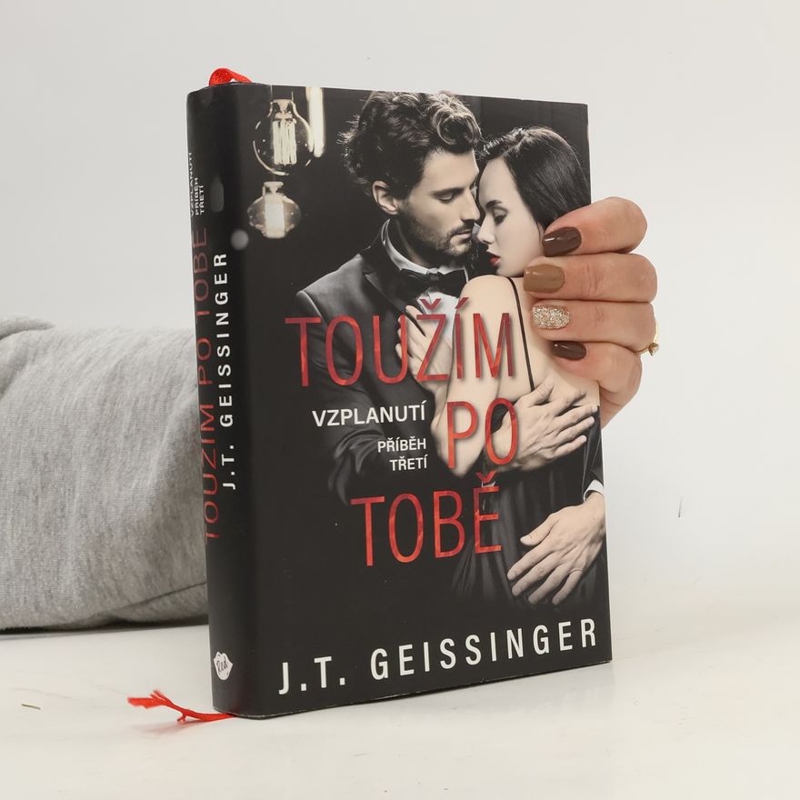 J. T. Geissinger Toužím po tobě