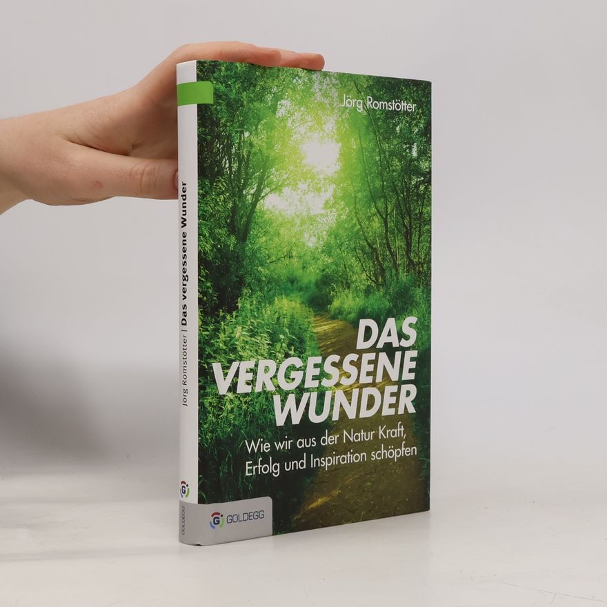Jörg Romstötter Das vergessene Wunder