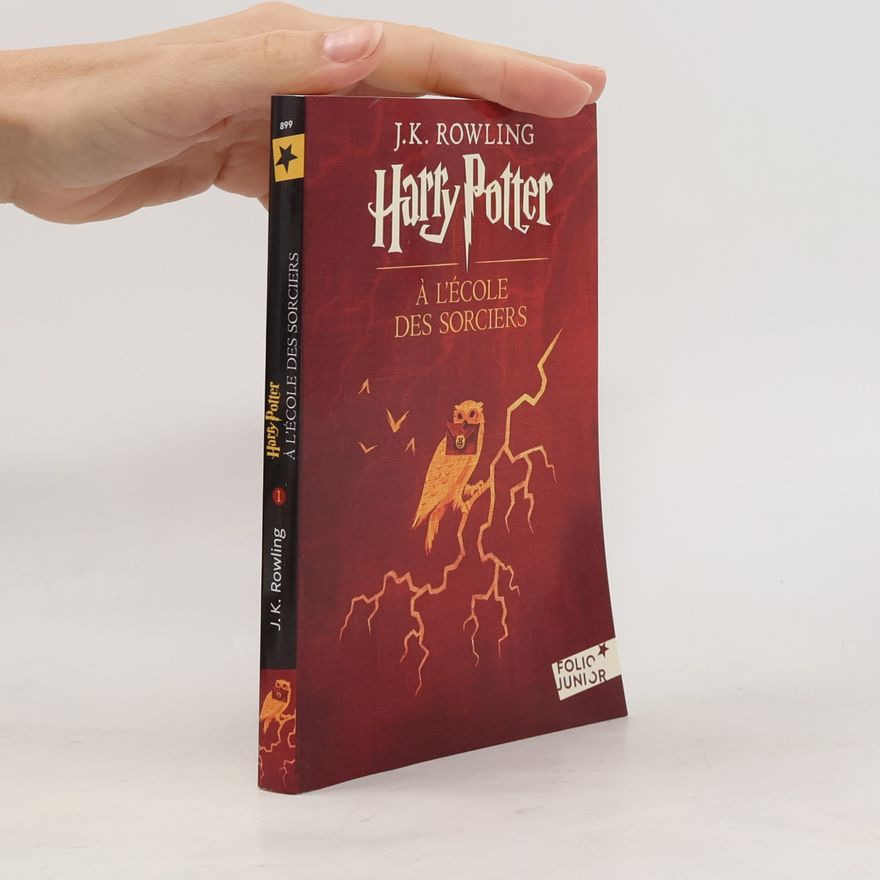 J. K. Rowling Harry Potter à l'école des sorciers