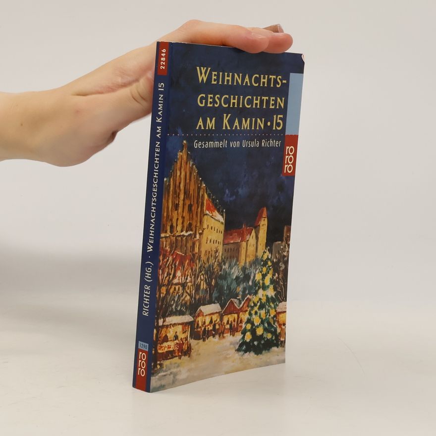 Collectif d'auteurs Weihnachtsgeschichten am Kamin