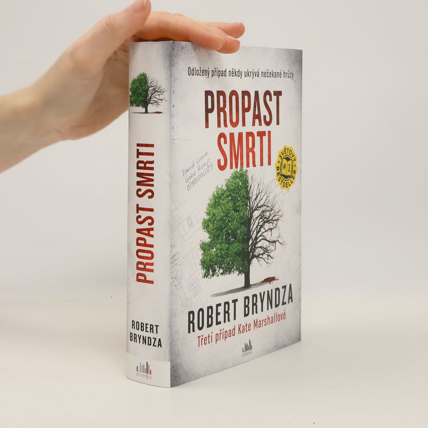 Robert Bryndza Propast smrti