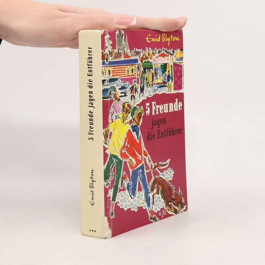 Enid Blyton 5 Freunde jagen die Entführer