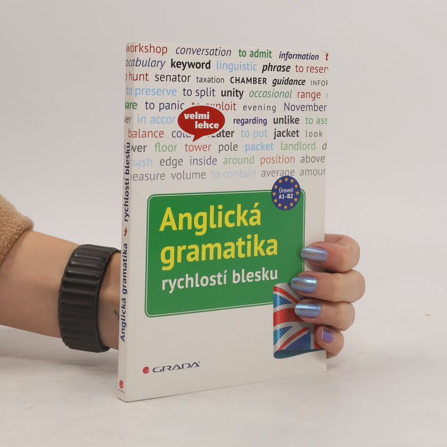 Martin Lutz Anglická gramatika: rychlostí blesku