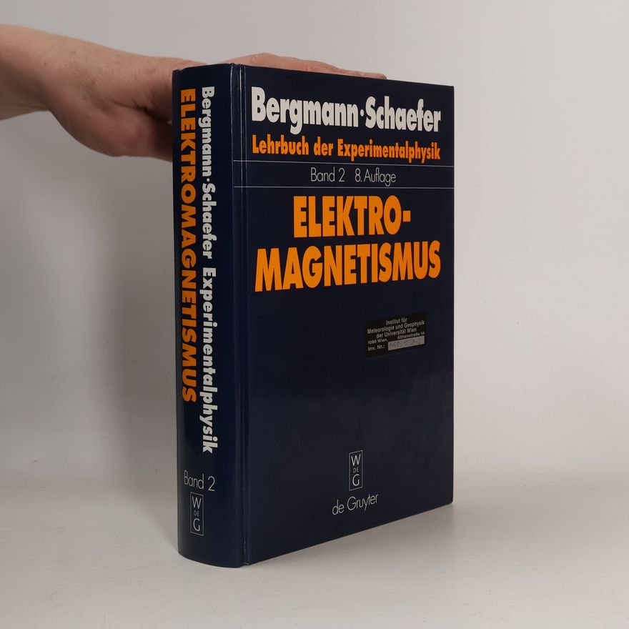 Wilhelm Raith Elektromagnetismus