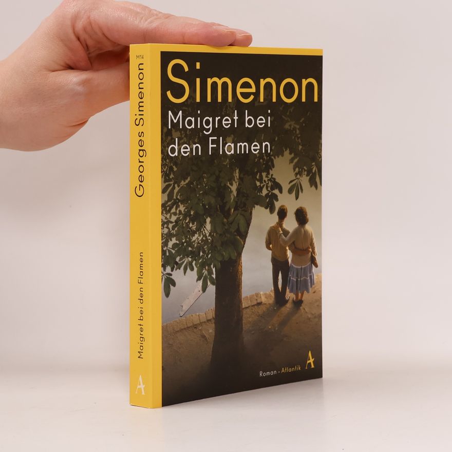 Georges Simenon Maigret bei den Flamen