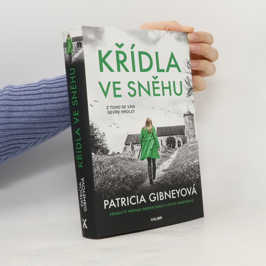 Patricia Gibney Křídla ve sněhu