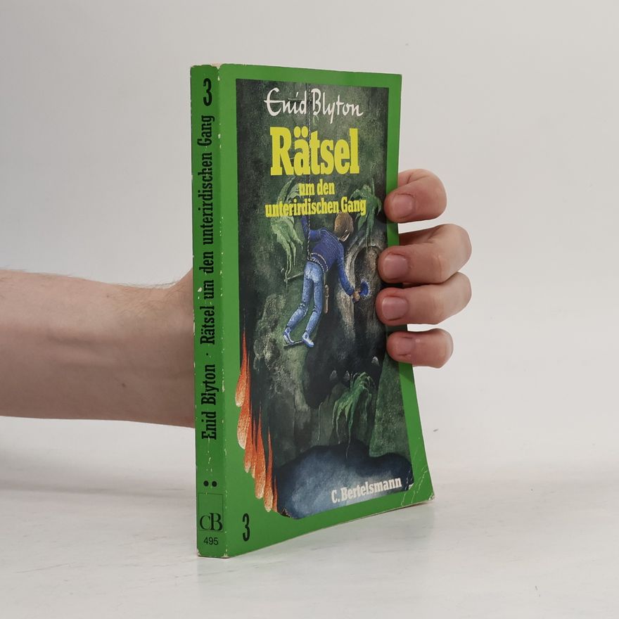Enid Blyton Die Rätsel 3