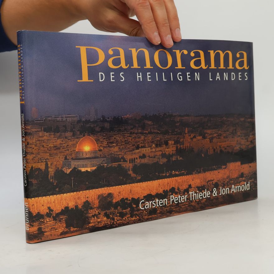 Jon Arnold Panorama des Heiligen Landes