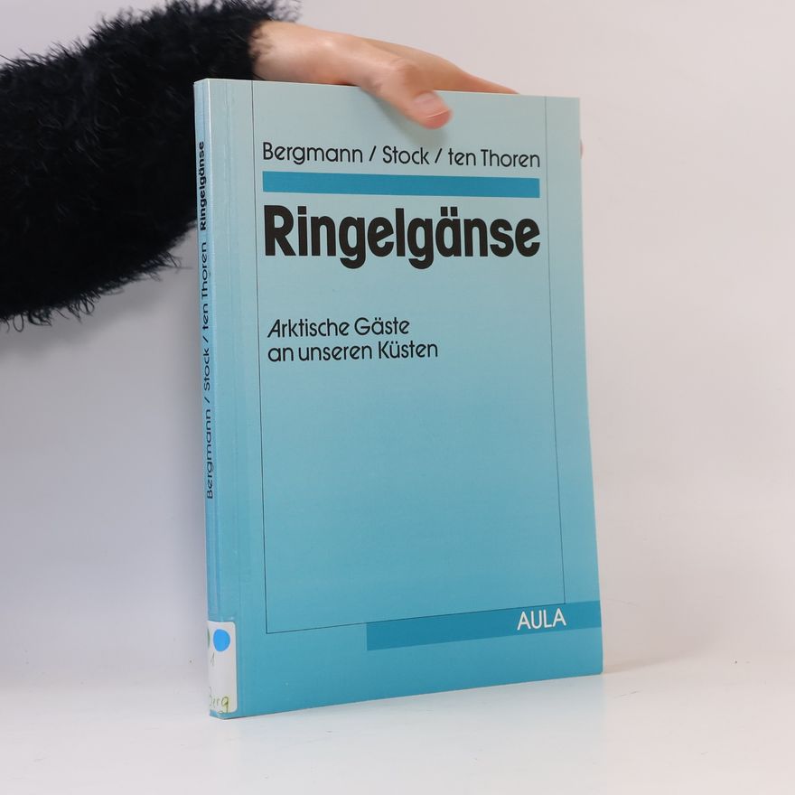 Hans Heiner Bergmann Ringelgänse