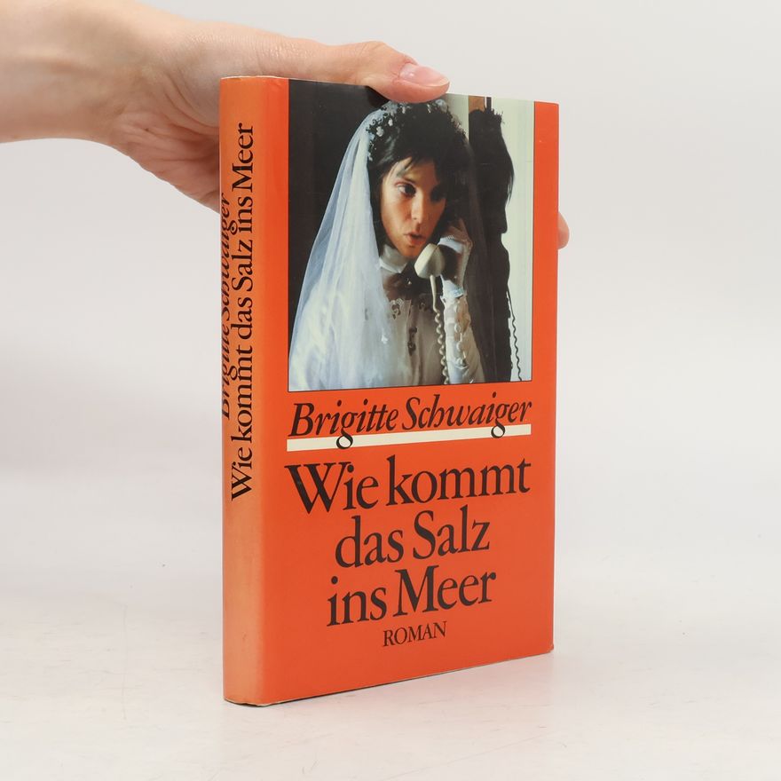 Brigitte Schwaiger Wie kommt das Salz ins Meer