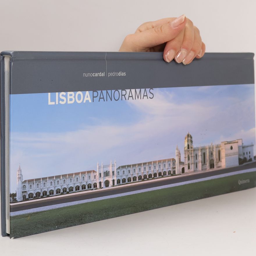 Pedro Dias Lisboa panoramas