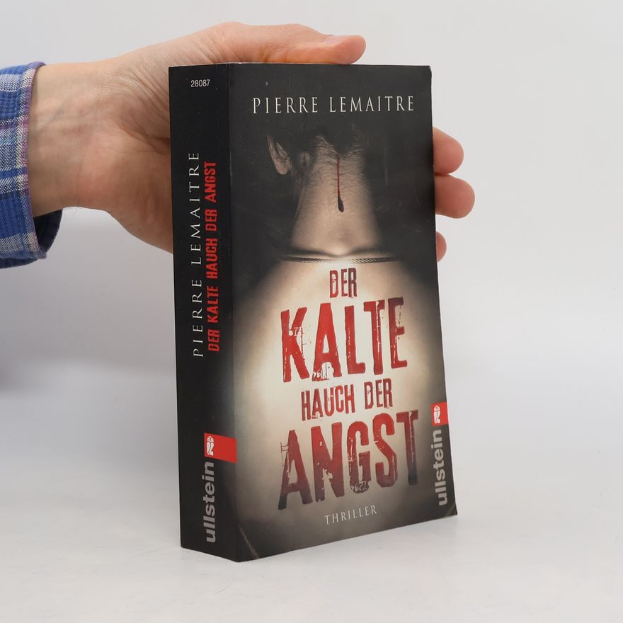 Pierre Lemaitre Der Kalte Hauch der Angst