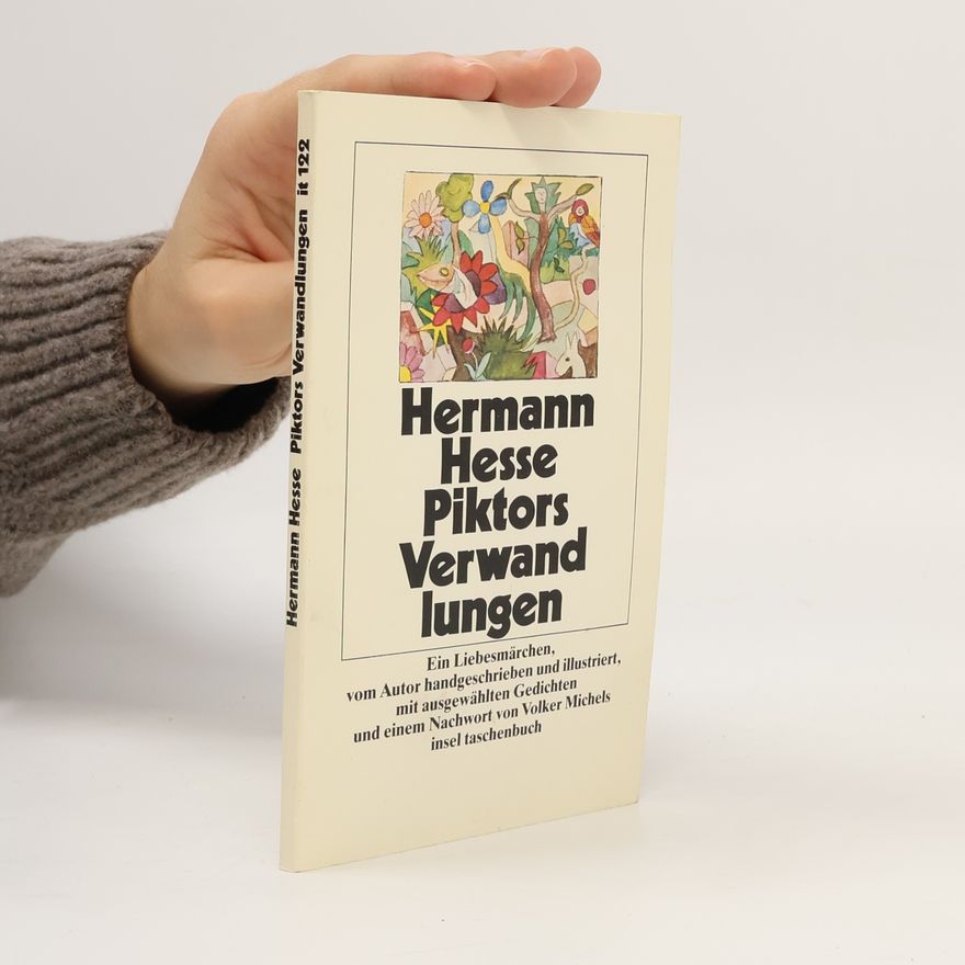 Hermann Hesse Piktors Verwandlungen