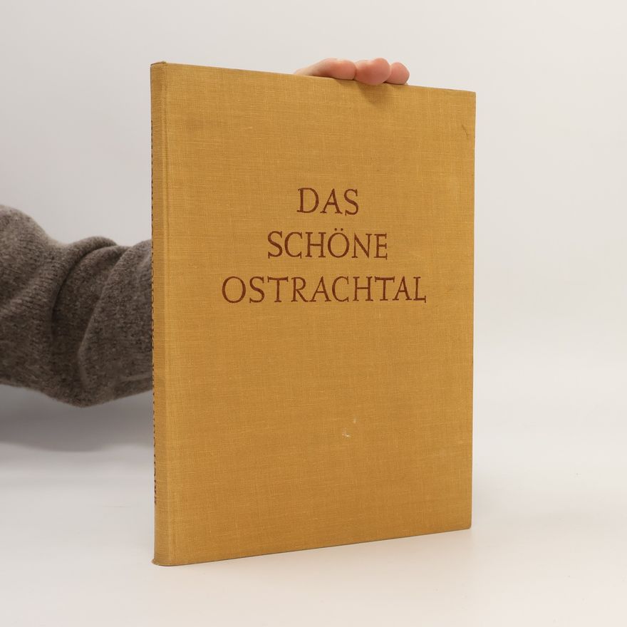 H. Berann Das schöne Ostrachtal