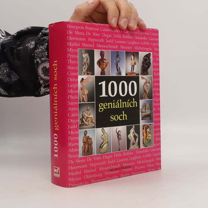 Sarah Costello 1000 geniálních soch