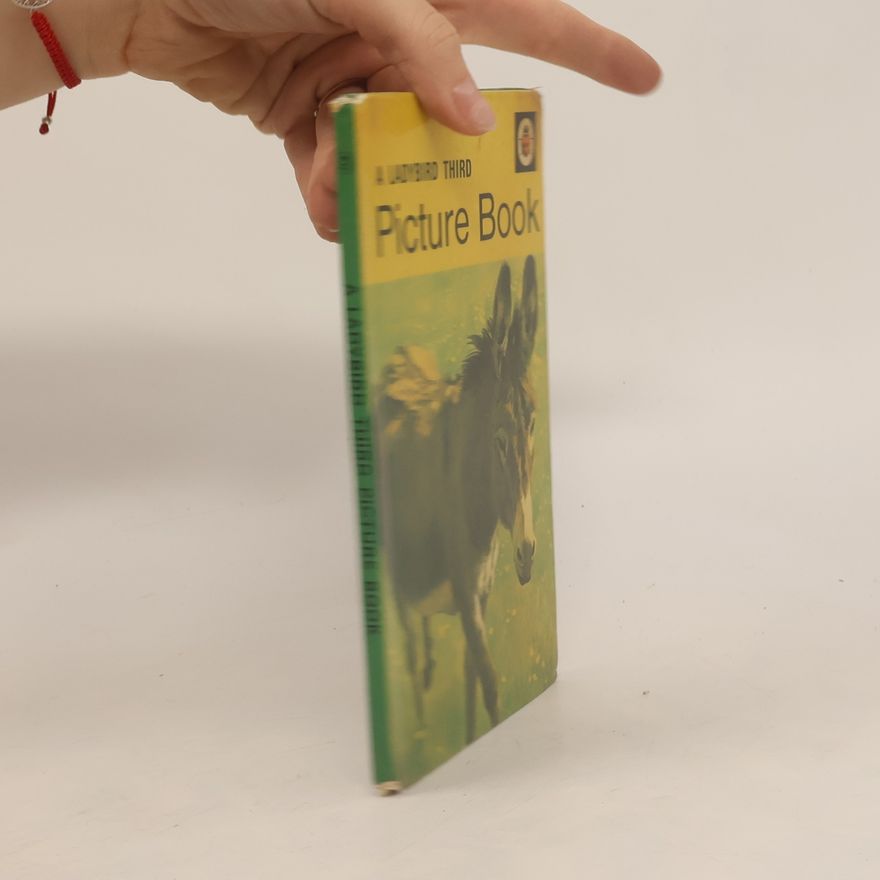 Ethel Wingfield Ladybird - 3: Picture Book