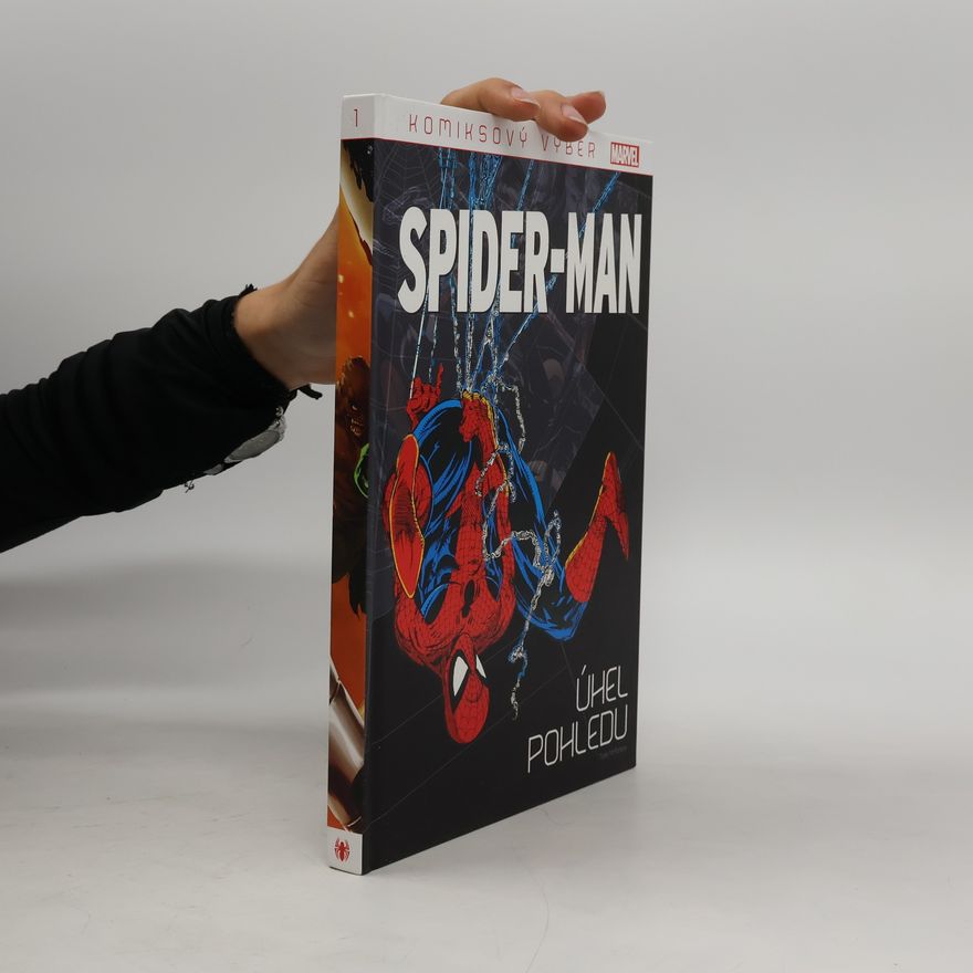 Todd McFarlane Spider-Man 1. Úhel pohledu