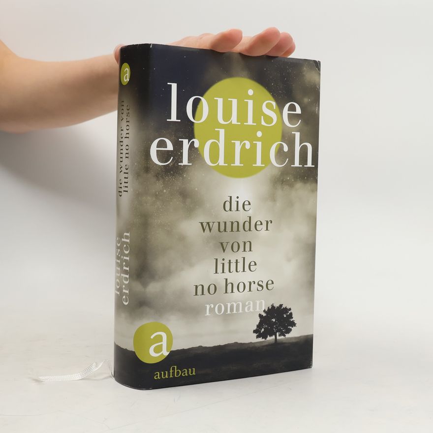 Louise Erdrich Die Wunder von Little No Horse