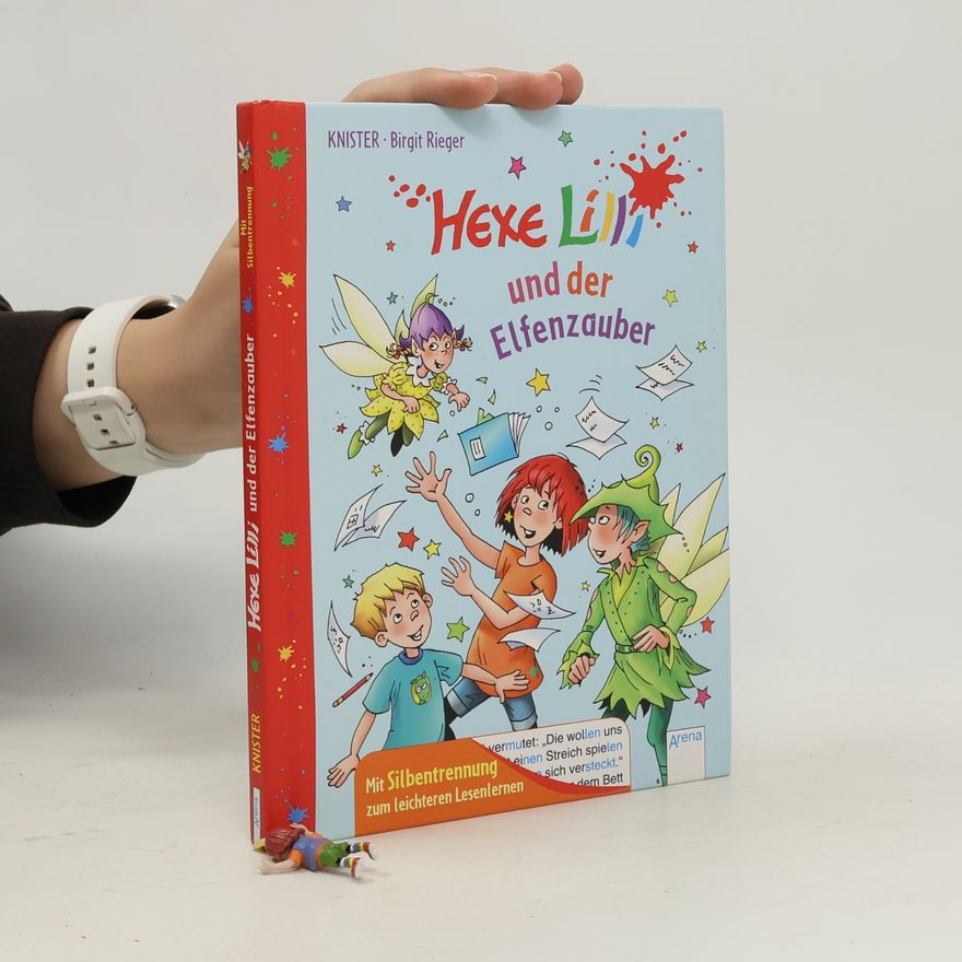 Brigit Rieger Hexe Lilli und der Elfenzauber