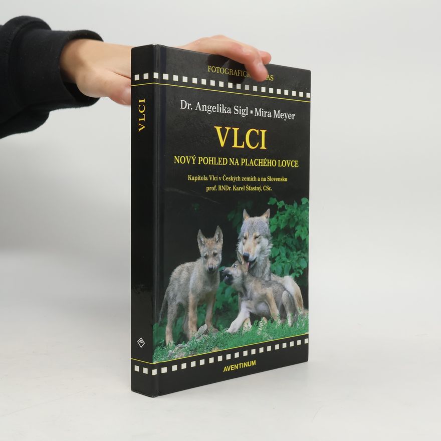 Mira Meyer Vlci. Nový pohled na plachého lovce