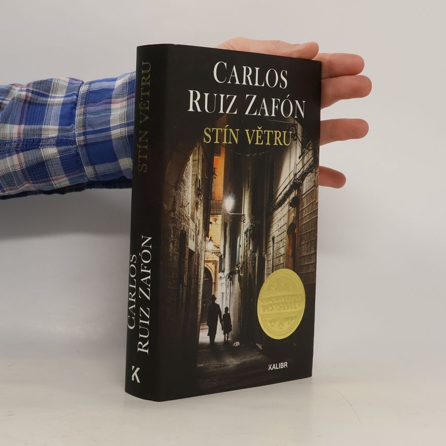 Carlos Ruiz Zafón Stín větru