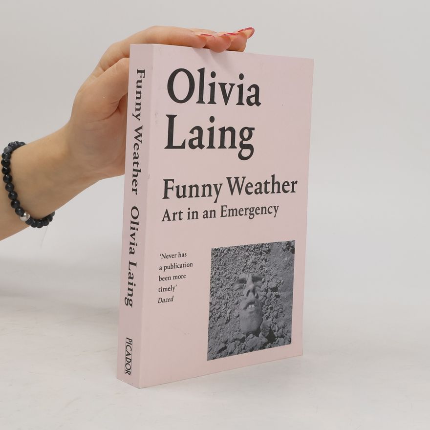 Olivia Laing Funny Weather