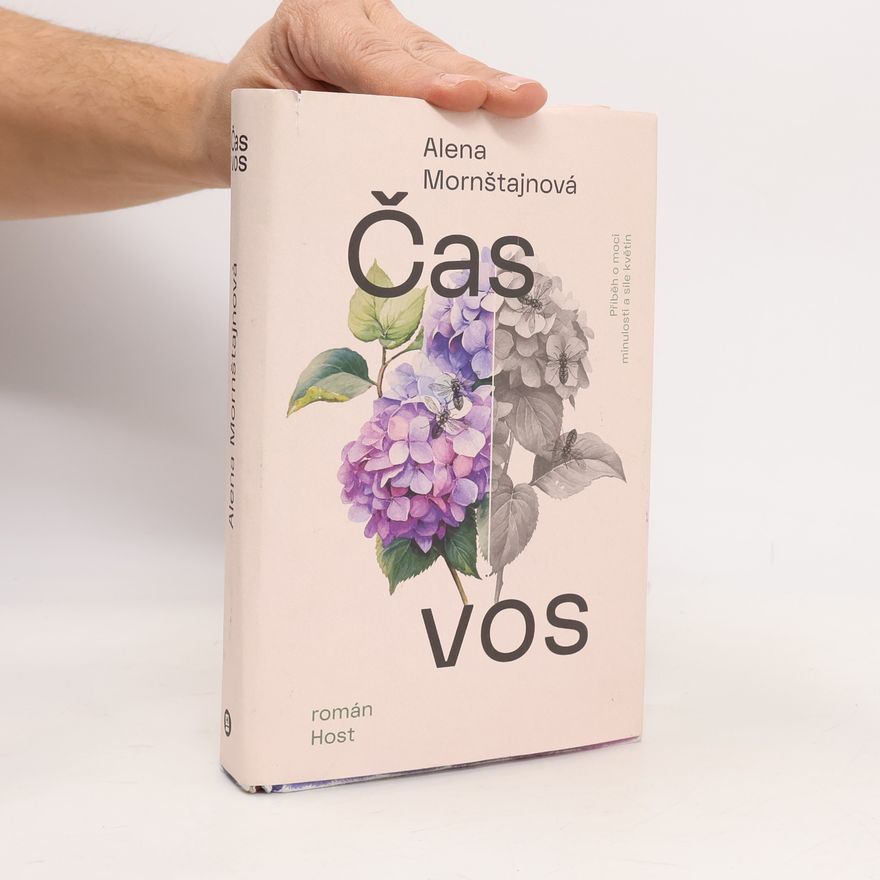 Alena Mornštajnová Čas vos