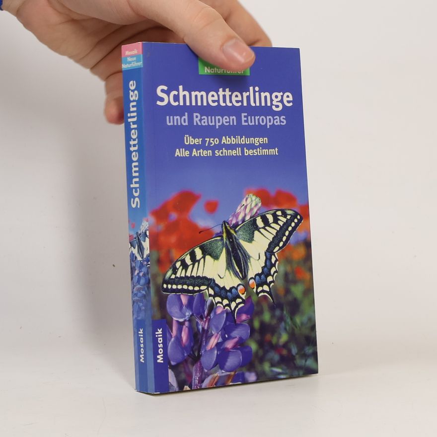 John Still Schmetterlinge und Raupen Europas