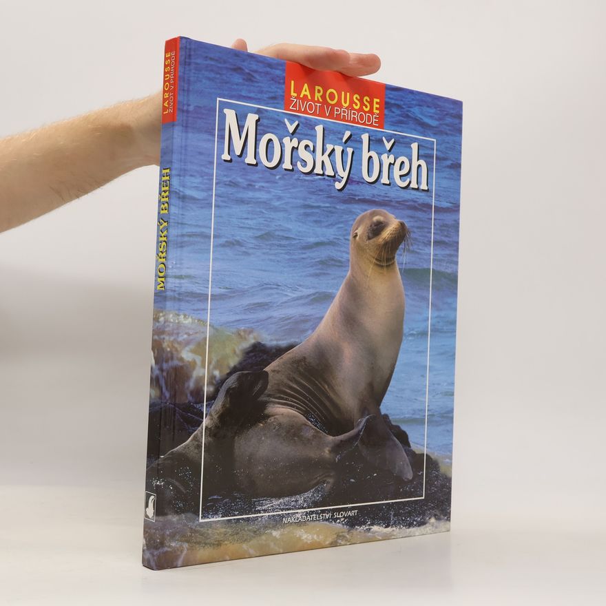 Kolektív autorov Mořský břeh
