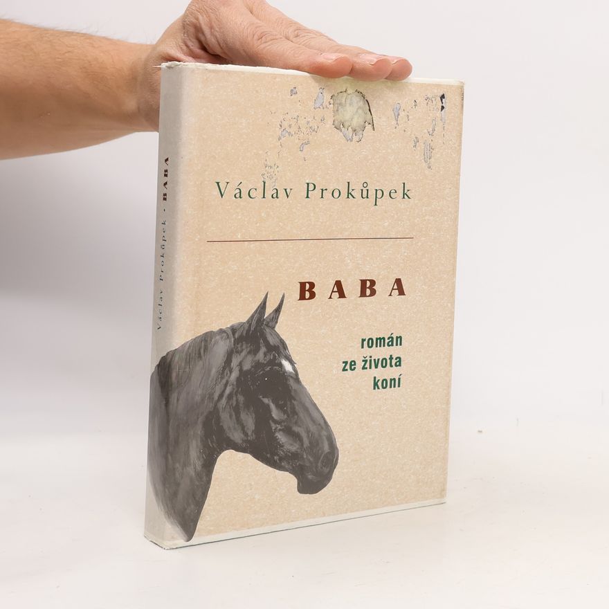 Václav Prokůpek Baba