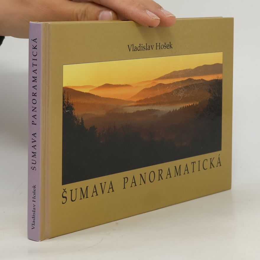 Vladislav Hošek Šumava panoramatická