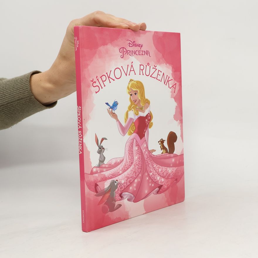 Disney Storybook Artists Šípková Růženka