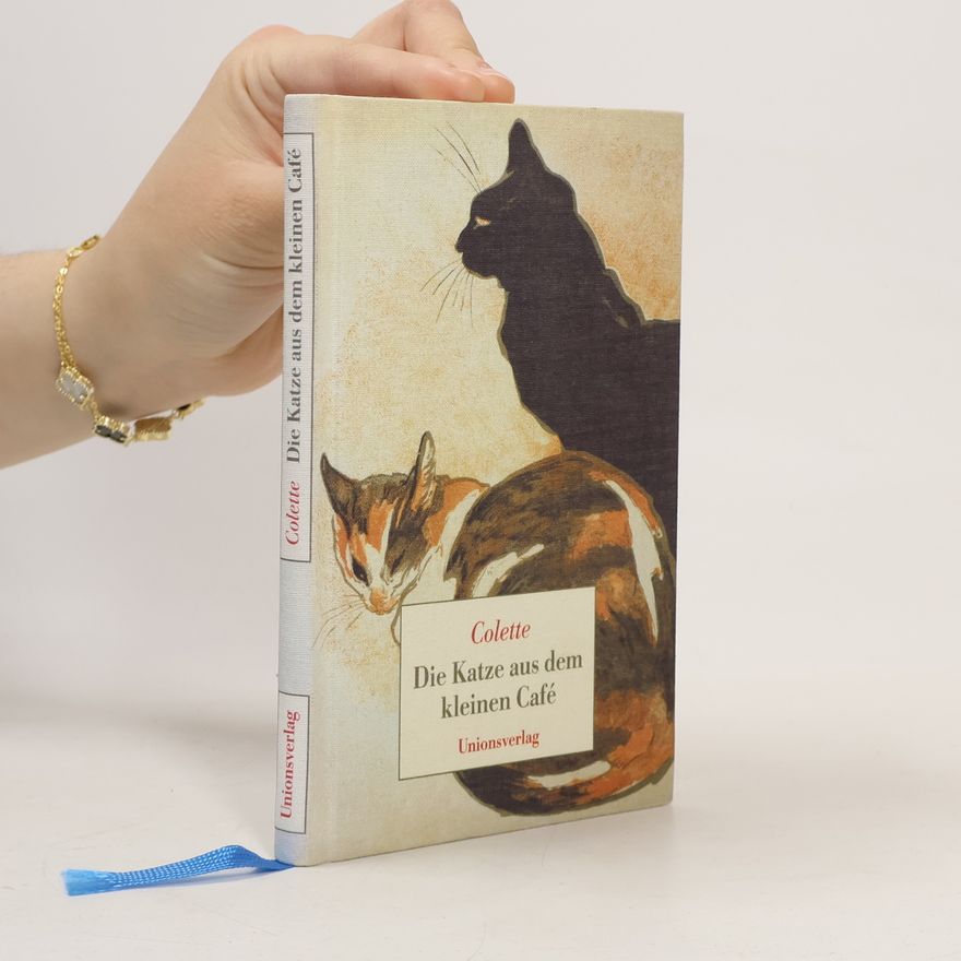 Th  Ophile Steinlen Die Katze aus dem kleinen Café