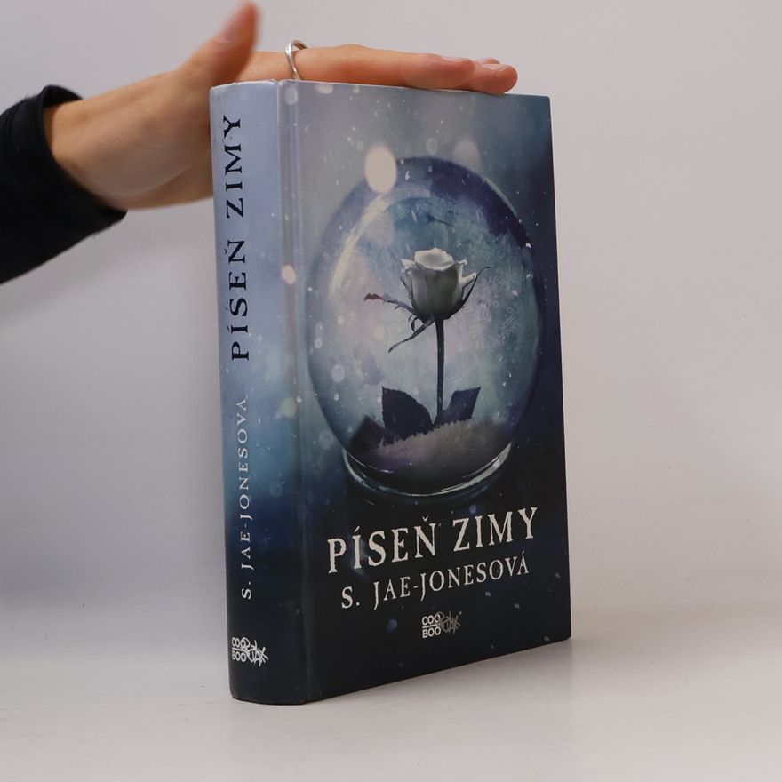 S. Jae-Jones Píseň zimy