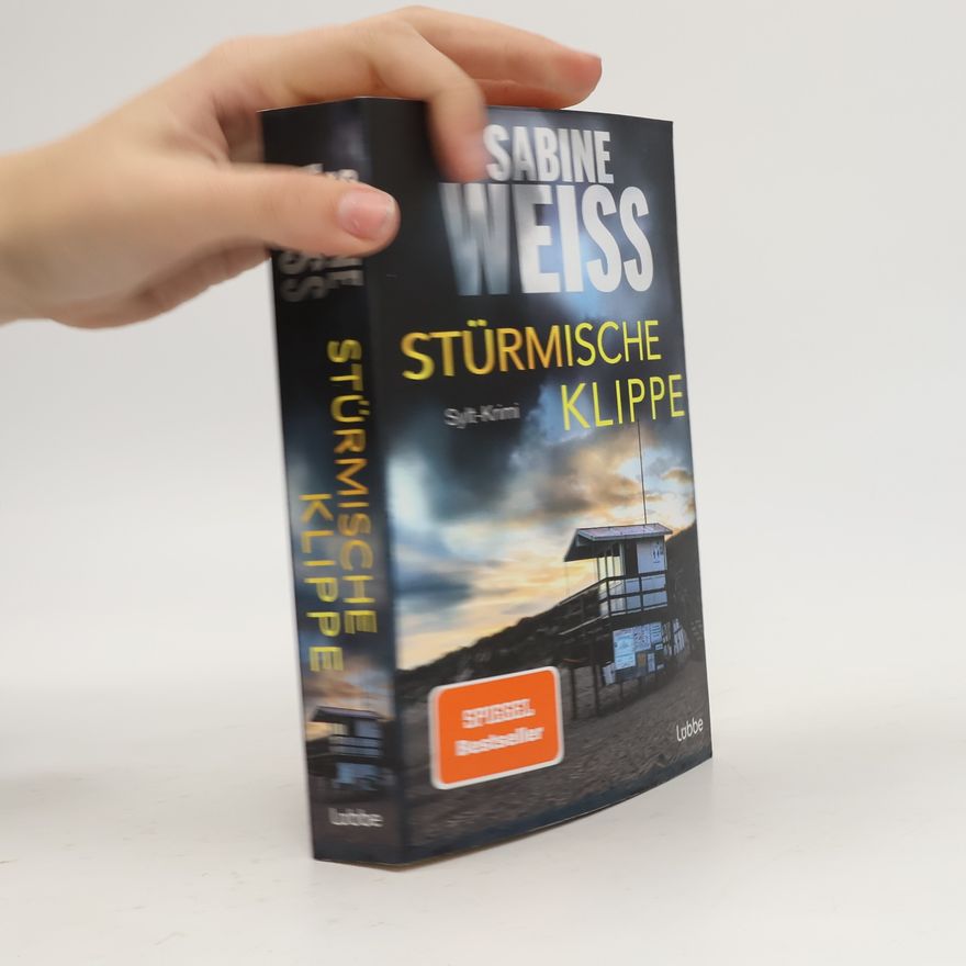Sabine Weiß Stürmische Klippe