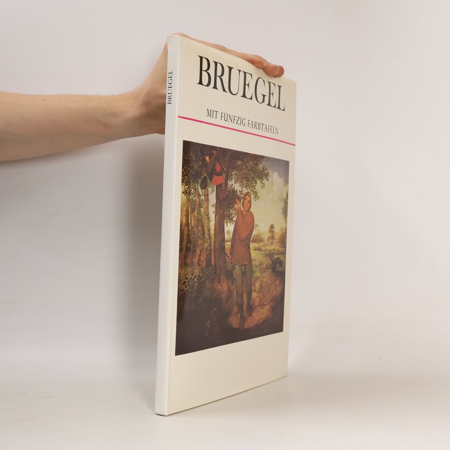Kolektiv autorů Bruegel
