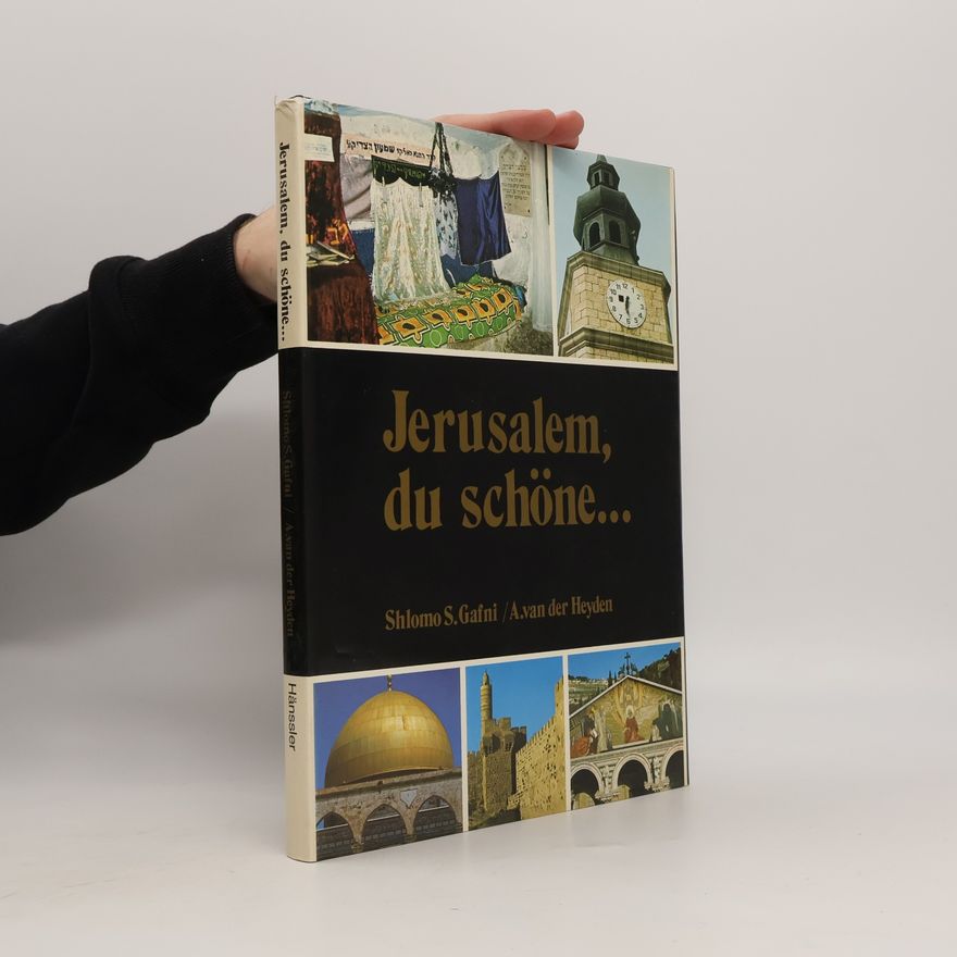 Kolektiv autorů Jerusalem, du schöne...