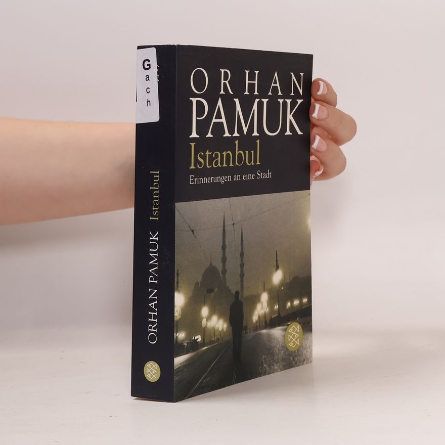 Orhan Pamuk Istanbul - Erinnerungen an eine Stadt