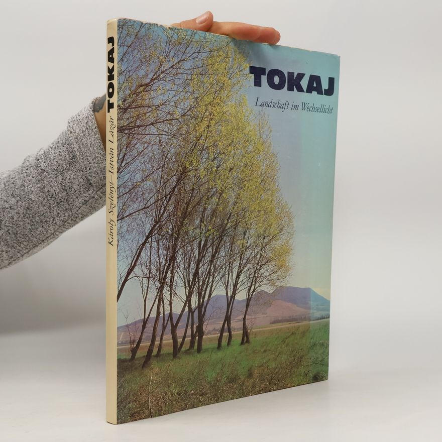 Szelényi Károly Tokaj. Landschaft im Wechsellicht