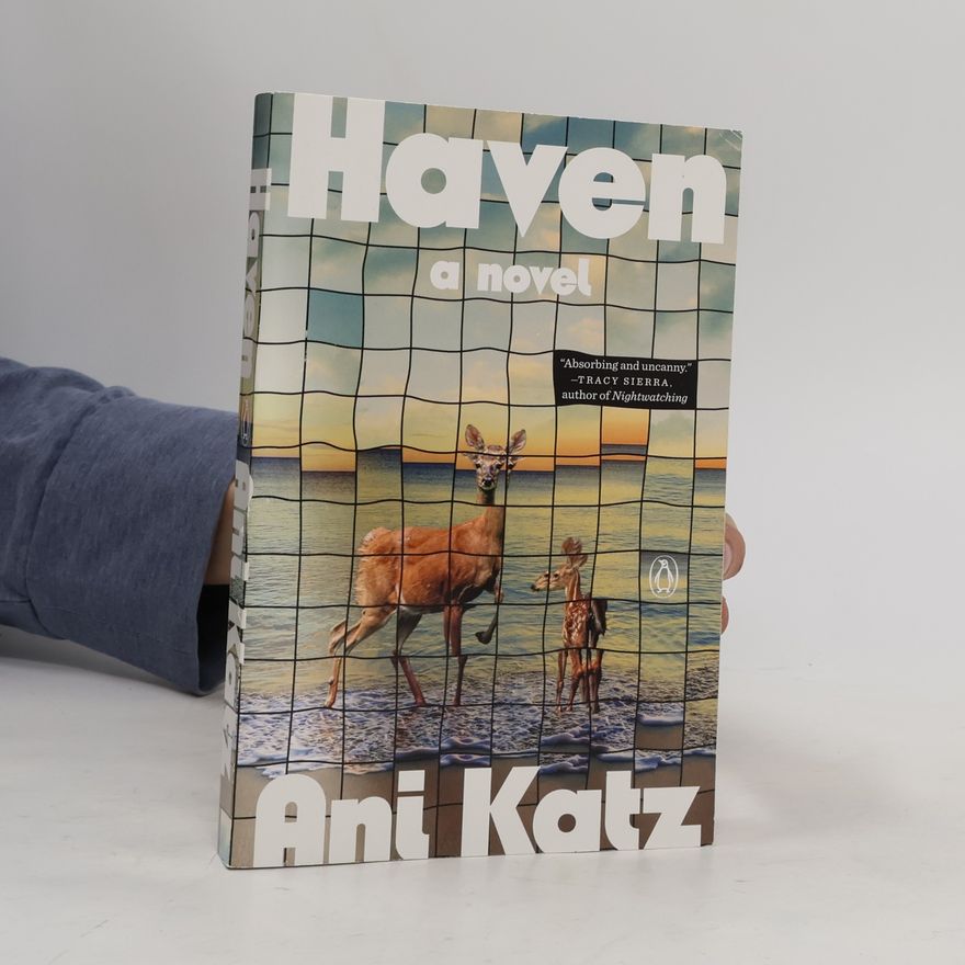 Ani Katz Haven: A Novel