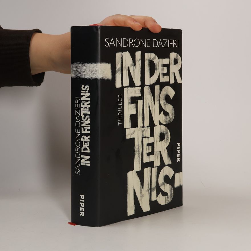 Sandrone Dazieri In der Finsternis
