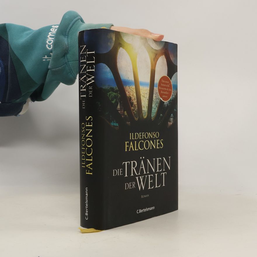 Ildefonso Falcones Die Tränen der Welt