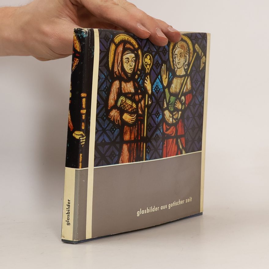 Auteurscollectief Glasbilder aus gotischer Zeit