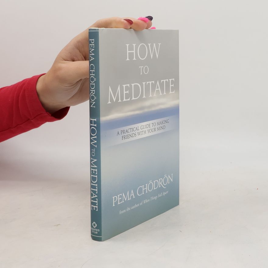 Pema Chödrön How to Meditate