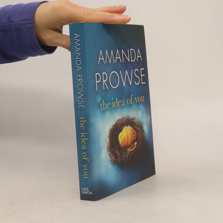 Amanda Prowse The Idea of You