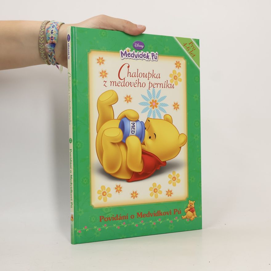 Autores varios Medvídek Pů. Chaloupka z medového perníku.