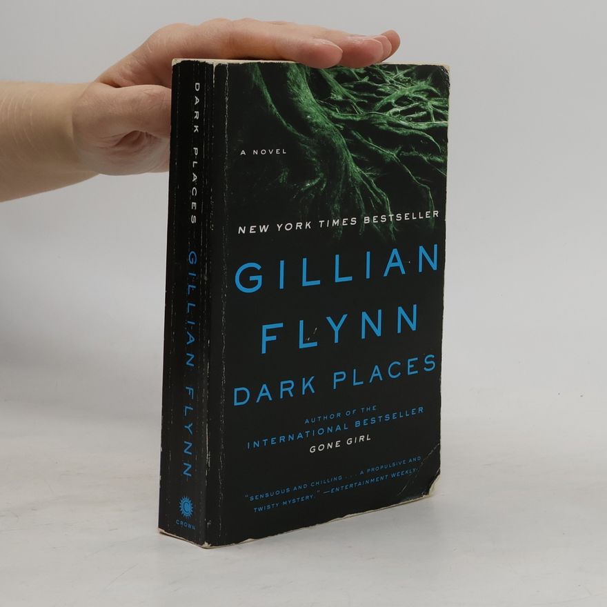 Gillian Flynn Dark Places