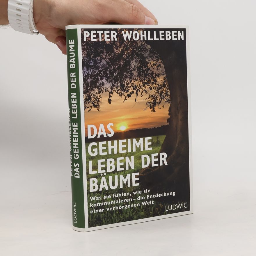 Peter Wohlleben Das geheime Leben der Bäume