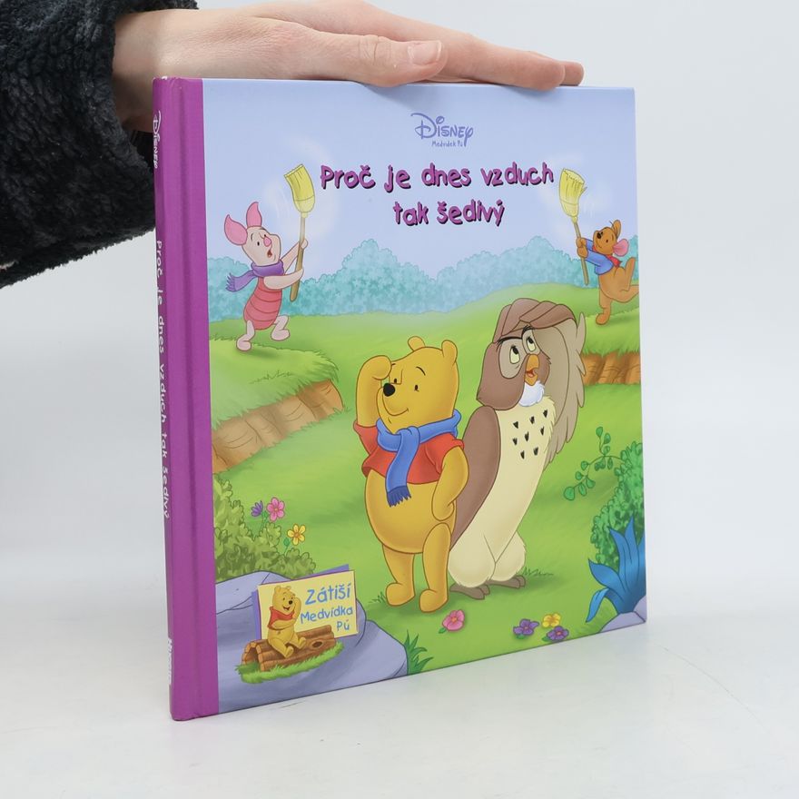 Autorenkollektiv Proč je dnes vzduch tak šedivý