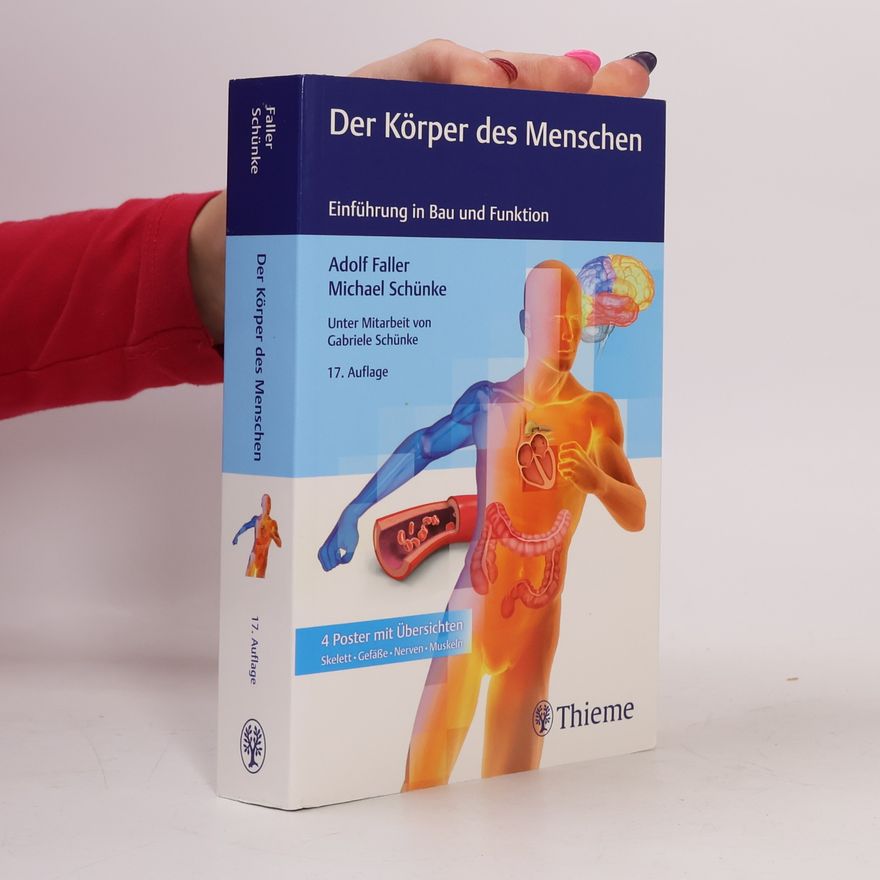 Adolf Faller Der Körper des Menschen